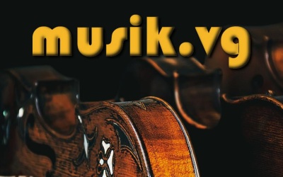 Musiker Musikdomain